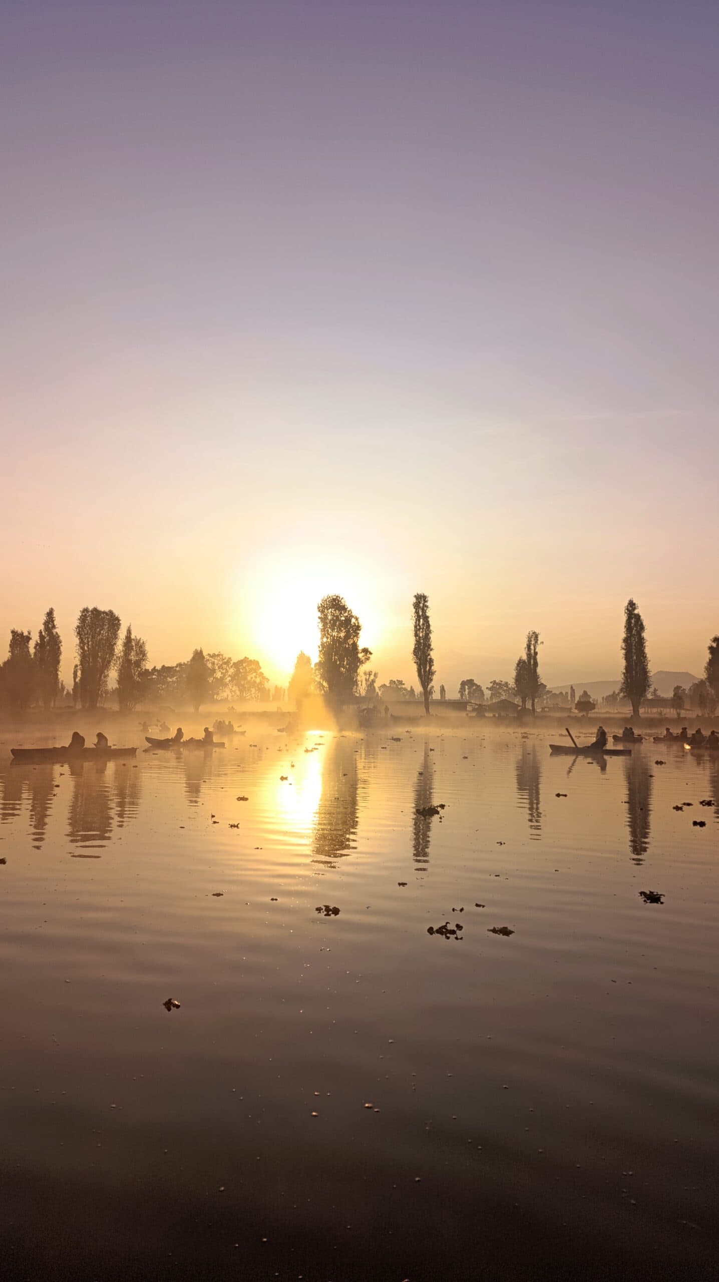 Sunrise in Xochimilco — photo 4 of 10