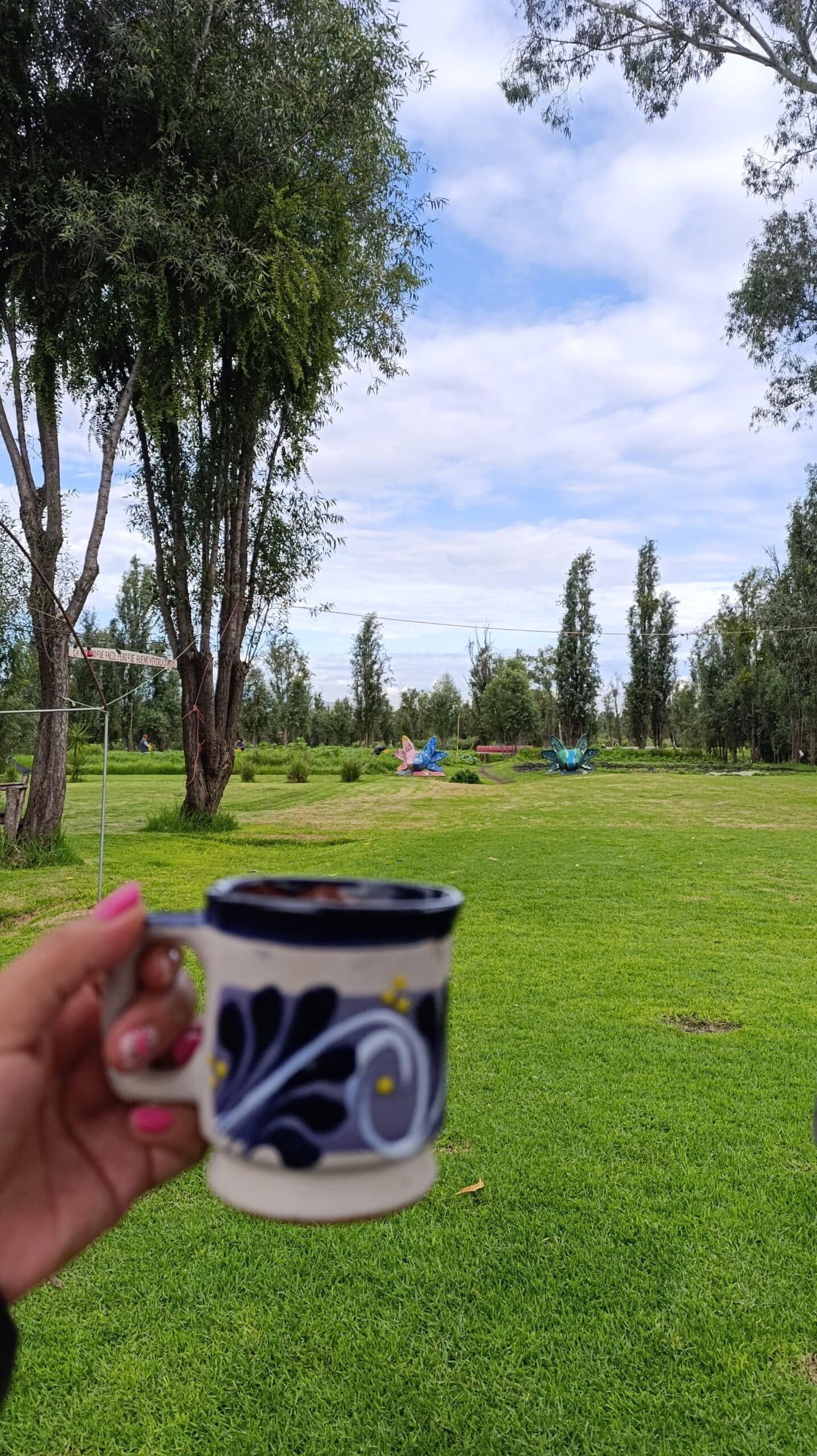 Sunrise in Xochimilco — photo 8 of 10