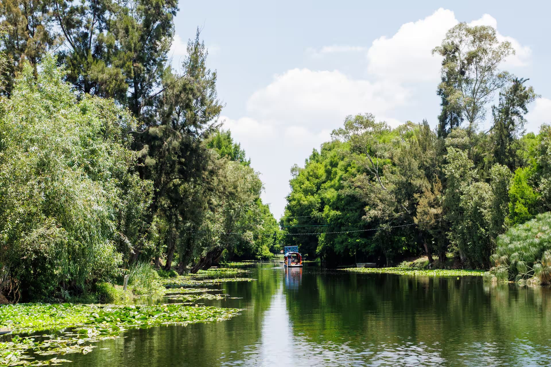 Xochimilco: Uncover the Heart of Mexico — photo 1 of 7